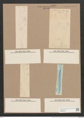 Pleurosigma var. brebissonii emtpy (de-Toni-Nr.: Genus 13, Species 1063) Zeichnungen Sammlung Grunow Nr. 1922 (NHMW-BOT-W0369049)